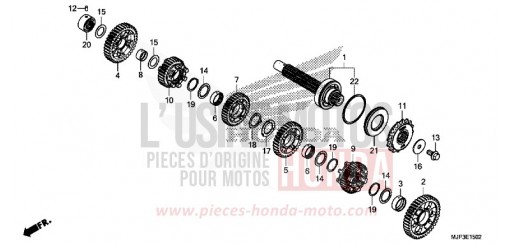 BOITE DE VITESSES (ARBRE INTERMEDIAIRE) (CRF1000D) CRF1000DH de 2017